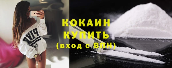 амф Вяземский