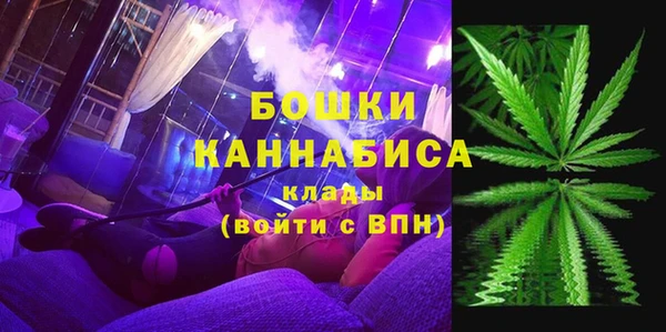 амф Вяземский