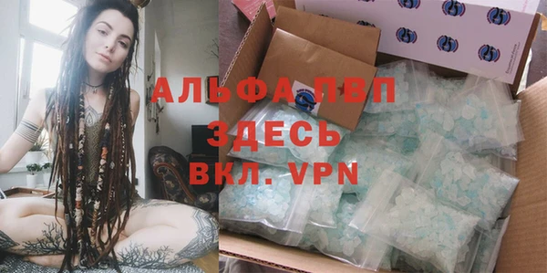 амф Вяземский