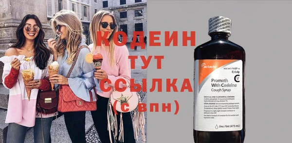 амф Вяземский