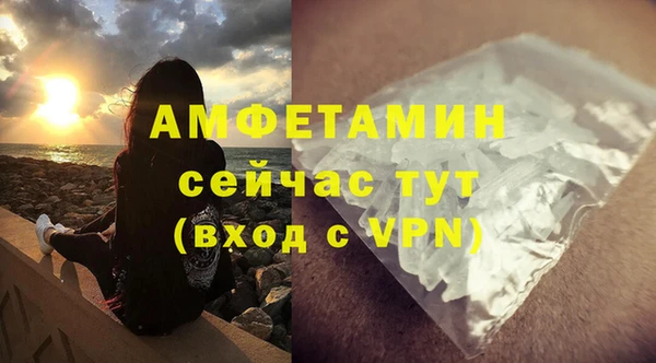 амф Вяземский