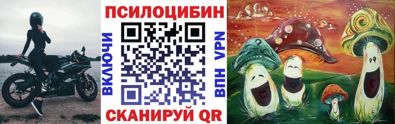 Псилоцибиновые грибы прущие грибы  Евпатория 