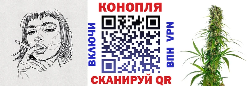 где купить   Евпатория  Бошки Шишки планчик 
