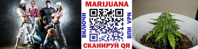МАРИХУАНА сатива Евпатория